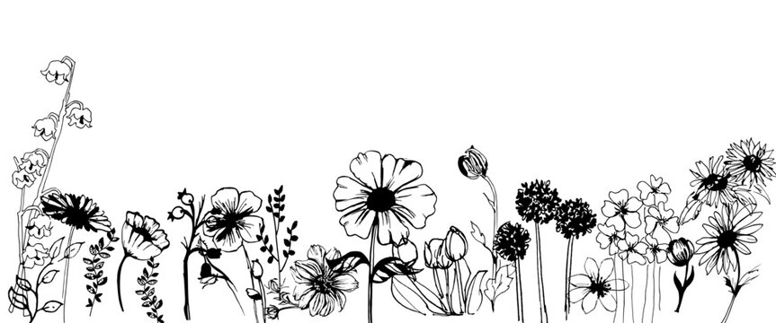 Giardino di fiori misti, illustrazione in bianco e nero isolata