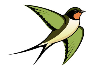 Barn Swallow different style vector illustration line art 