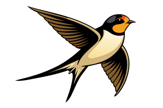 recommend clip art: Barn Swallow different style vector illustration line art 