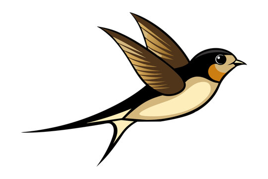 recommend clip art: Barn Swallow different style vector illustration line art 