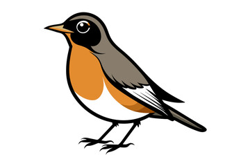 American Robin different style vector illustration line art