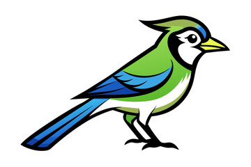 Blue Jay different style vector illustration line art