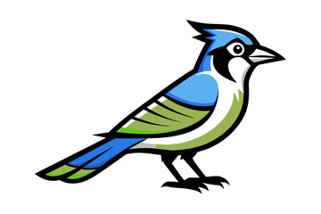 Blue Jay different style vector illustration line art