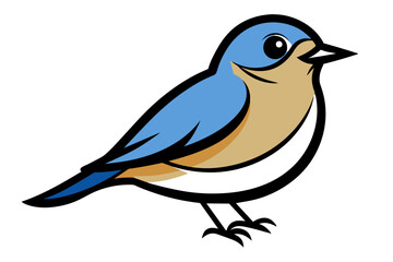 Eastern Bluebird different style vector illustration line art 