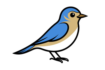 Eastern Bluebird different style vector illustration line art 