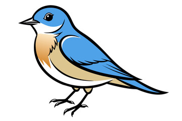 Obraz premium Eastern Bluebird different style vector illustration line art 