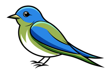 Eastern Bluebird different style vector illustration line art 