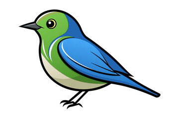 Obraz premium Eastern Bluebird different style vector illustration line art 
