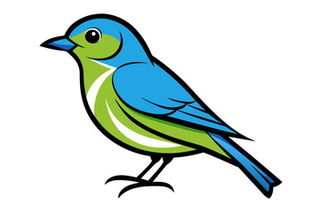 Eastern Bluebird different style vector illustration line art 