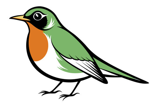 recommend clip art: American Robin different style vector illustration line art