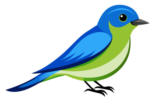 recommend clip art: Eastern Bluebird different style vector illustration line art 