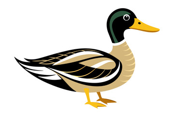 Obraz premium Mallard Duck different style vector illustration line art 