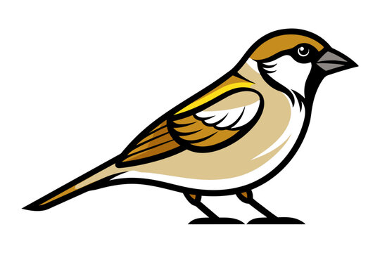 recommend clip art: House Sparrow different style vector illustration line art