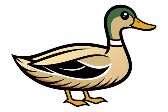 recommend clip art: Mallard Duck different style vector illustration line art 