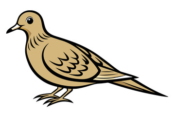 Mourning Dove different style vector illustration line art
