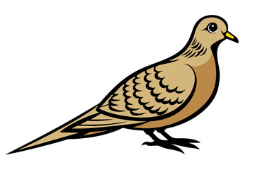 Mourning Dove different style vector illustration line art