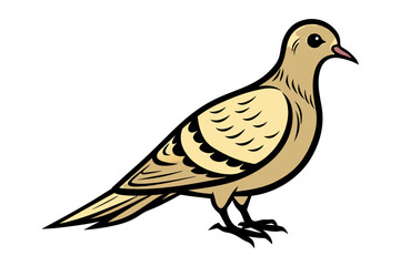 Mourning Dove different style vector illustration line art