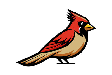 Northern Cardinal different style vector illustration line art