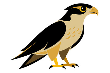 Red-tailed Hawk different style vector illustration line art