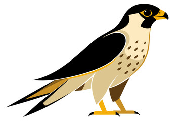 Red-tailed Hawk different style vector illustration line art