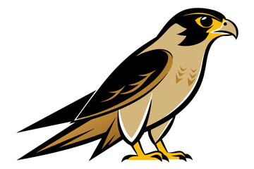 Obraz premium Red-tailed Hawk different style vector illustration line art