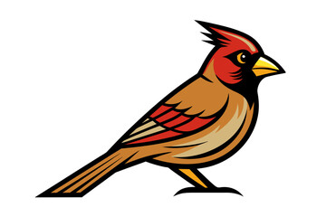 Northern Cardinal different style vector illustration line art