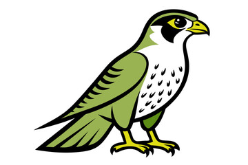 Red-tailed Hawk different style vector illustration line art