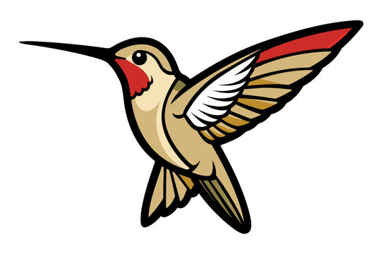recommend clip art: Ruby-throated Hummingbird different style vector illustration line art 