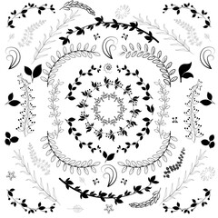 Branches with leaves decorative floral vector image set