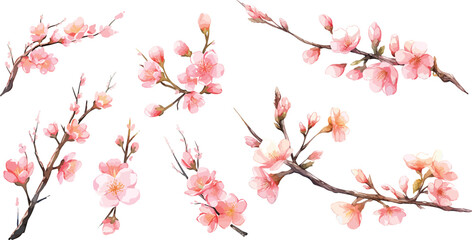 sakura branch clipart vector for graphic resources  © dian's