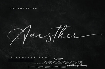 Signature Font Calligraphy Logotype Script Brush Font Type Font lettering handwritten