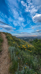 Fototapeta premium Summer Views of Great Western Trail Hiking Layton City Utah
