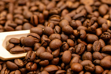 Freshly Roasted Coffee Beans
