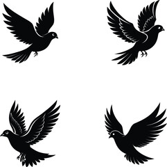 Fototapeta premium set of silhouettes of birds