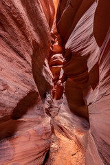 Cardiac Slot Canyon in Arizona shows the narrow passageway that water and sediment flow through during flash floods.