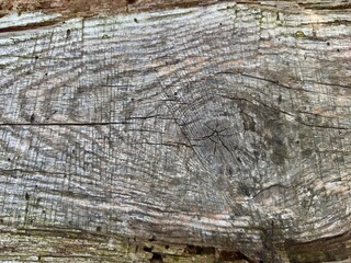 Photo of an old wooden board