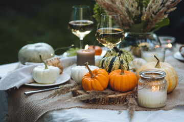 Cozy fall table decoration for Thanksgiving family dinner, romantic autumn wedding outdoors with small pumpkins, candles. White wine. Countryside style, cottage core, beautiful elegant setting