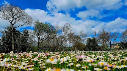 Paisaje de Galicia en primavera