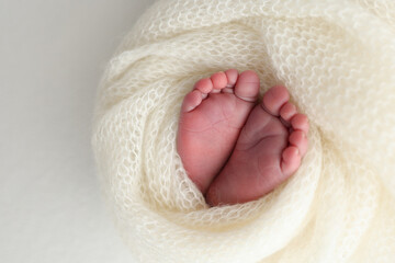 The tiny foot of a newborn baby. Soft feet of a new born in a wool white blanket. Close up of toes, heels and feet of a newborn. Macro photography.