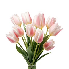 bouquet tulip flower for wedding, isolated on transparent background, cut out