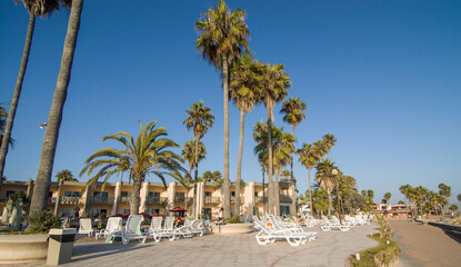 Palm trees on main avenue in Estero Beach Ensenada Baja California Mexico. summer vacation season