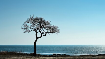 Solitary tree standing against the backdrop of the ocean with room for text