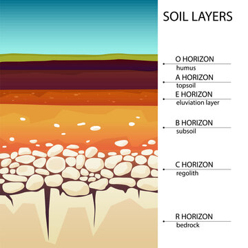 Soil layers diagram in cartoon style