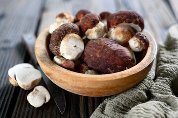 Wooden bowl with fresh wild porcini mushrooms and knife on rustic wooden table