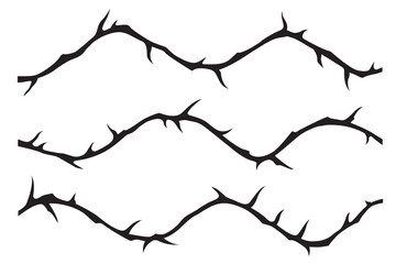 black crown of thorns image isolated on white background