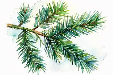  - Realistic depiction of a pine branch, showcasing intricate details and textures., Watercolor illustration of a pine branch, perfect for nature-themed designs.