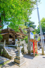 初夏の飯盛神社　福岡県福岡市　Iimori Shrine in early summer. Fukuoka Pref, Fukuoka City.