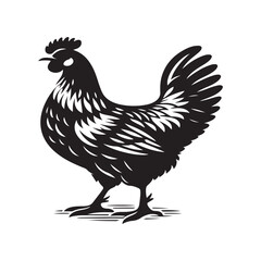 hen vector silhouette art illustration