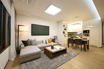 3d interior illustration of a modern, neatly decorated living room, dining and kitchen