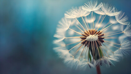 Naklejka premium dandelion on blue backdrop, symbolizing freedom and wishes